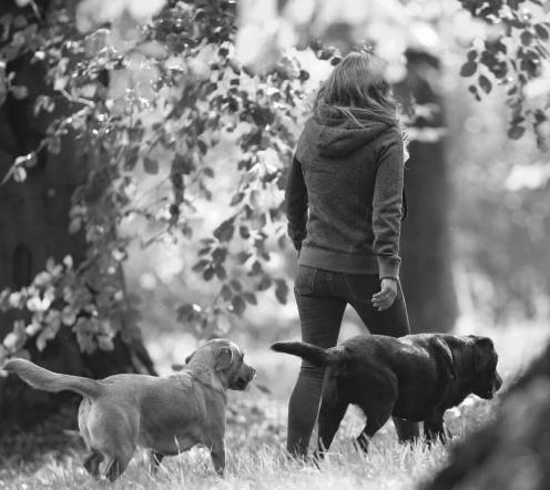 Alexandra Osterkorn Hundetrainerin isnhund.de