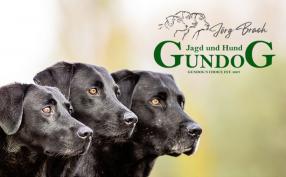 GUNDOG Dummy- und Jagdtraining für Hunde, Jörg Brach